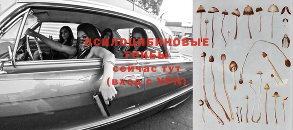 амф Вяземский