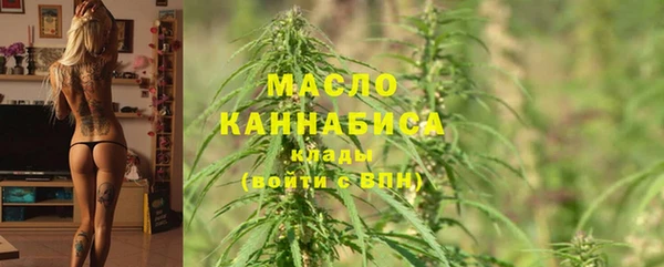 амф Вяземский