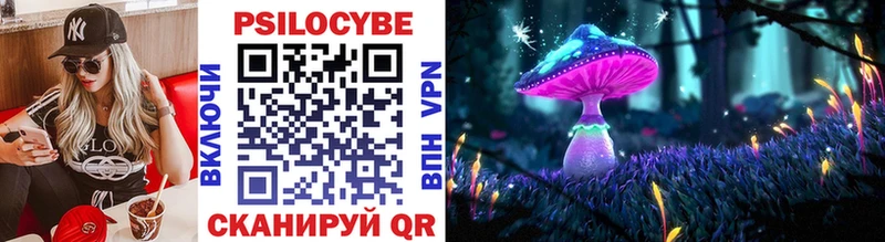 Галлюциногенные грибы MAGIC MUSHROOMS  Купить  Лесосибирск 